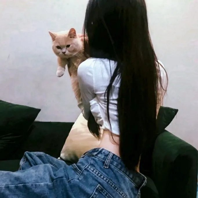 丛林有情狼